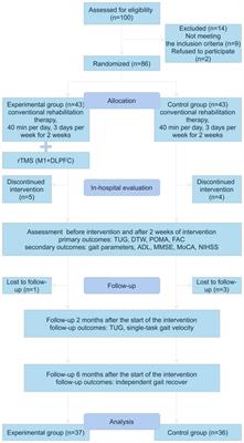 Effect of short-term 10 Hz repeated transcranial magnetic stimulation on postural control ability in patients with mild hemiparesis in acute ischemic stroke: a single-blinded randomized controlled trial